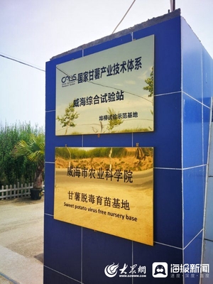 信息化+扶贫 荣成市催生脱贫新动能的信息技术咨询服务