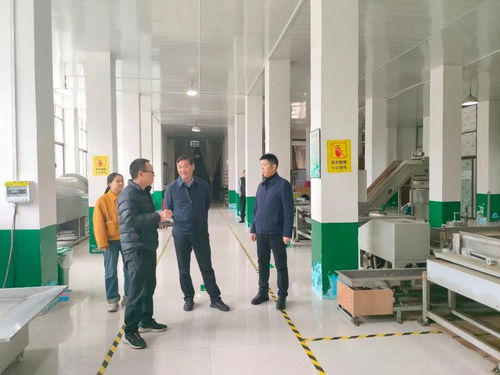 科技赋能春茶飘香——安康市农技中心赴镇坪开展春茶生产指导与信息技术咨询服务